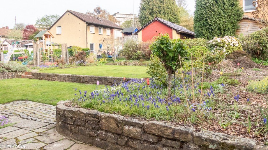9571 Blick in den Garten Etagenwohnung Gelsenkirchen